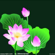 zhangxufan7777