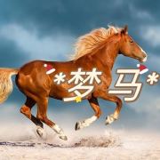 Breeze120102