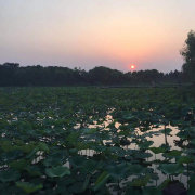 YuQingC3